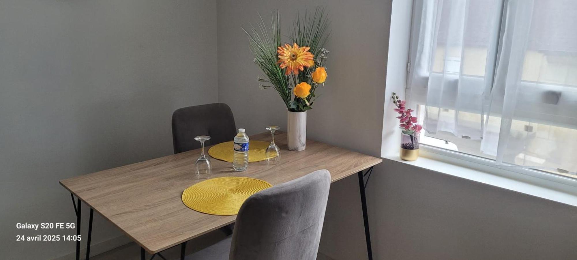 Les Volets Bleus - Deux Appartements Et Un Studio, Jardin 博格斯 外观 照片